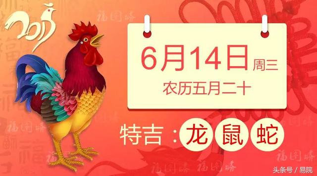 6月14日十二生肖运势与卦象
