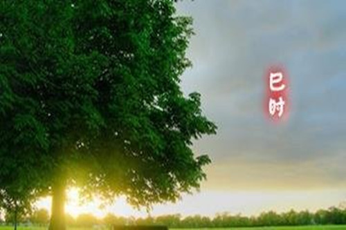 巳时是几点到几点，巳时出生的男女命运