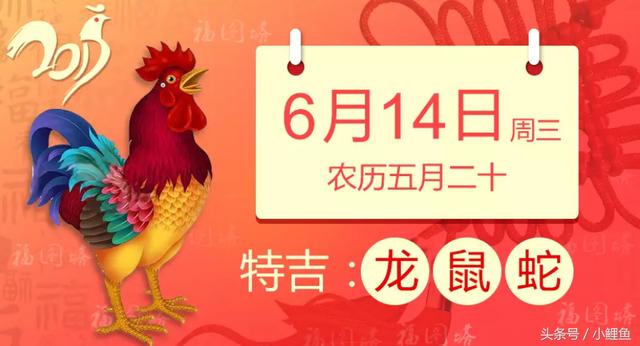 6月14日生肖运势 龙、鼠、蛇大吉