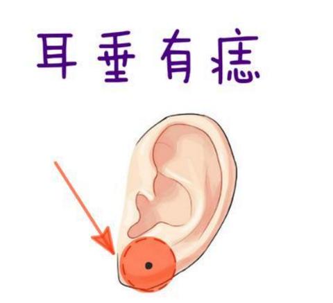 这种面相的女人，善良又好命！招财又旺夫！