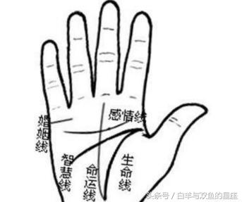 打工命的手相，注定挣不到大钱