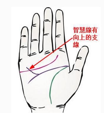 命中注定有钱的手相