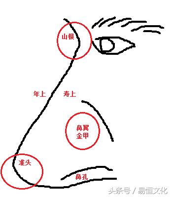 面相揭示鼻孔小财运，鼻翼小财运