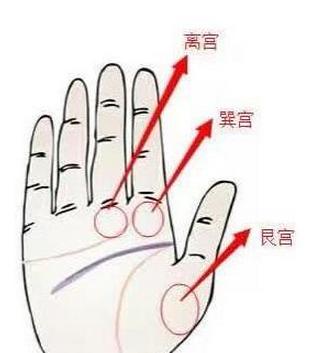 百年一遇的手相，生下来就是亿万富翁的命