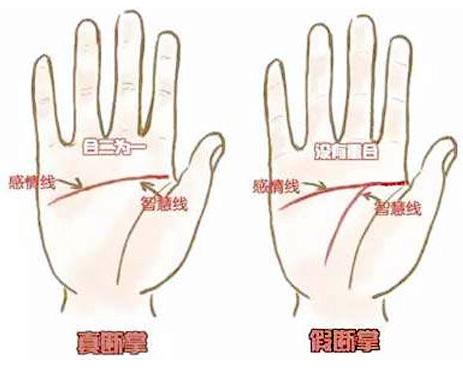断掌纹这种手相的人，左权右财，注定能成就一番大事业