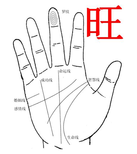 旺财命的手相