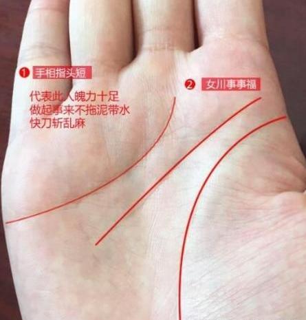 此生必定是老板命的手相