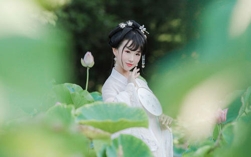 十二生肖命运分析：12月出生的不同生肖命运怎么样？