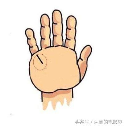 发财命的手相