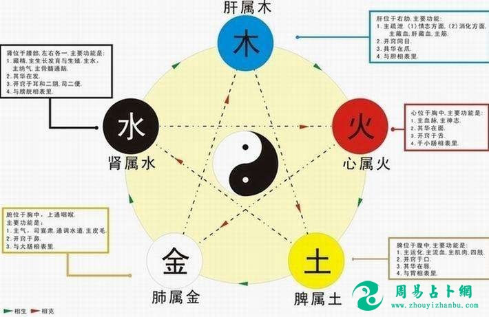 怎样看生辰八字中的五行生克关系？