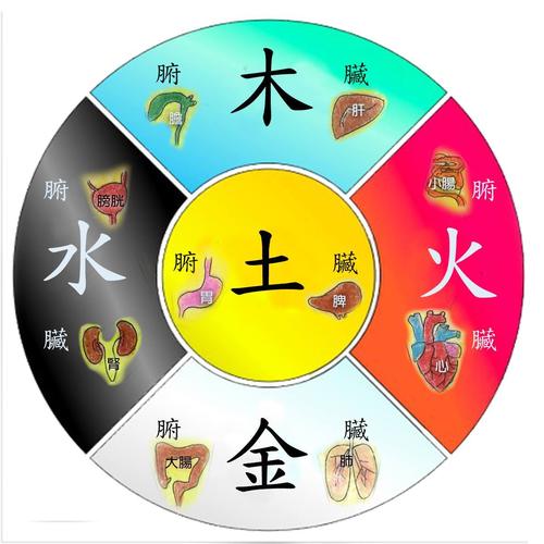 木命和火命可以在一起吗？