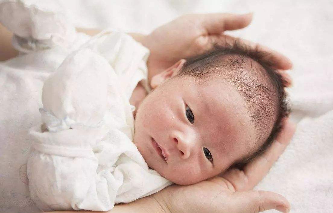酉时出生的男孩命运分析，不同的生肖命运不一样？