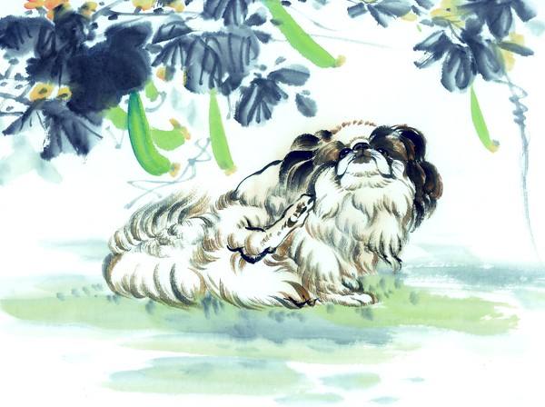 2006年12月出生的命运如何？2006年出生是火狗之命？