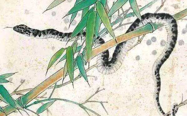 2001年12月出生的人会是什么命？优点都有哪些？