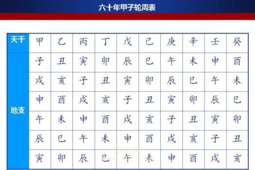 八字日柱之己丑日
