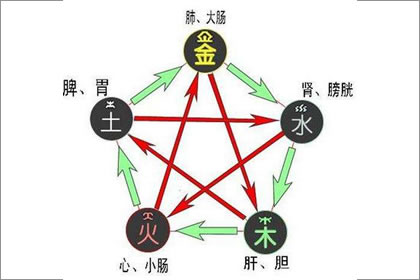 大林木命人纹什么纹身最招财