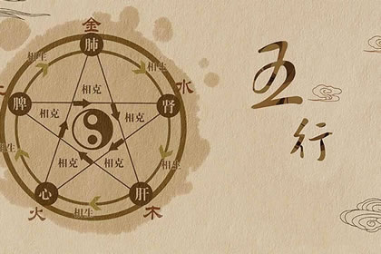哪些杨柳木命人注定会穷苦一生
