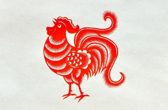 1981年7月出生的生肖鸡是什么命？命好吗？