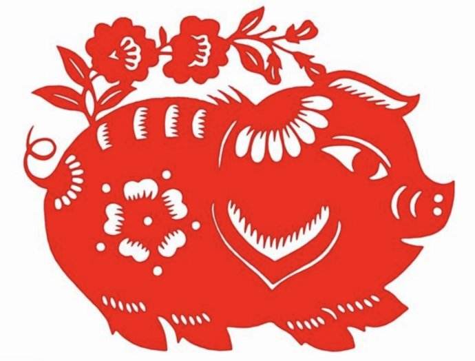 7月出生的猪宝宝怎么样？这个月出生好不好？