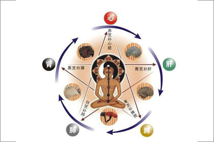 怎么样才能旺城头土命的人
