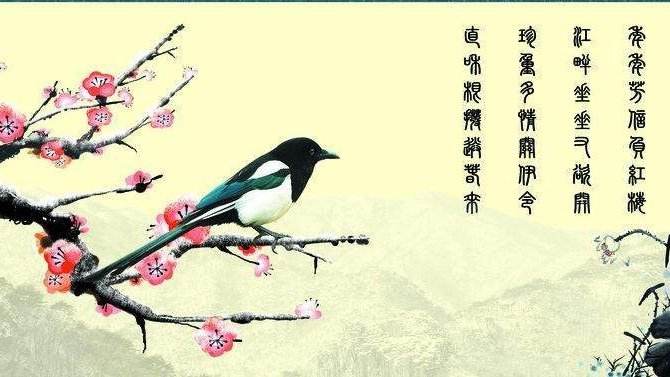 梅花易数排盘网址推荐，梅花易数入门知识精华讲解