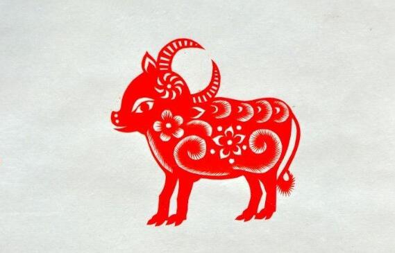 2015年5月出生的人命好吗，男孩命运如何？