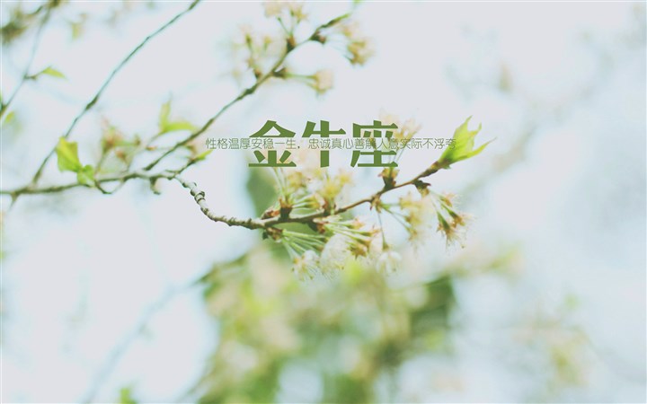 5月出生的人是什么星座的？
