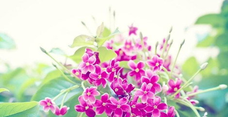 生肖虎的和生肖兔的八字相合吗？八字合婚有何意义？