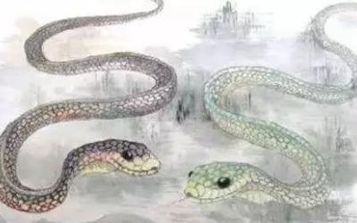 属蛇卯时出生的人运势好不好？