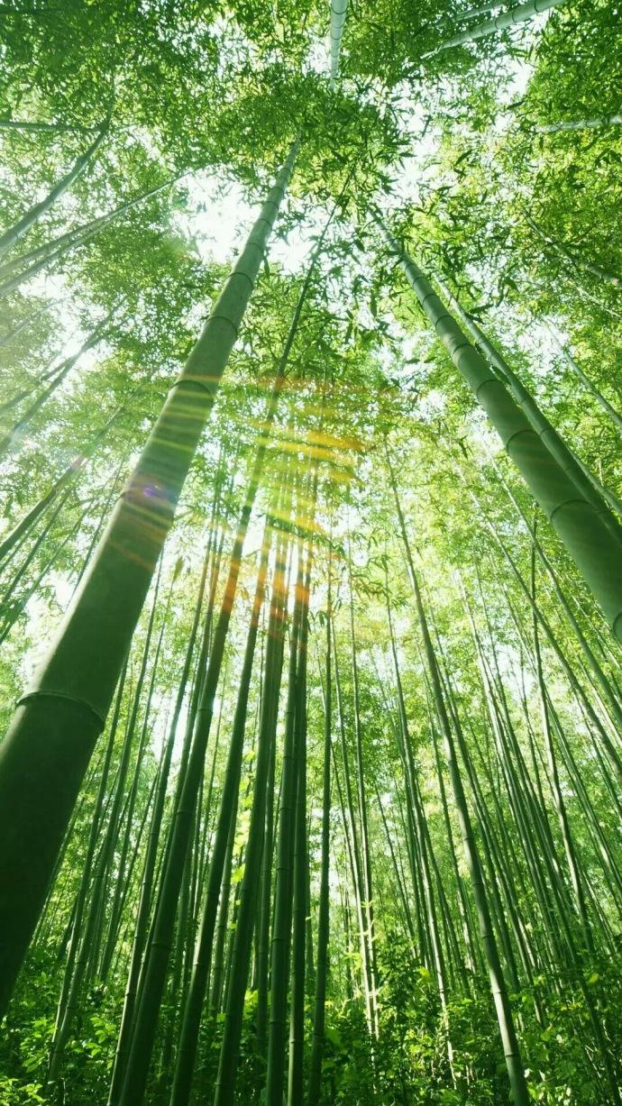 火命和土命合吗？火命人和土命人在一起好吗？八字合吗？