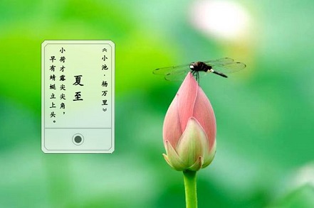 八字判断婚姻方法有哪些？