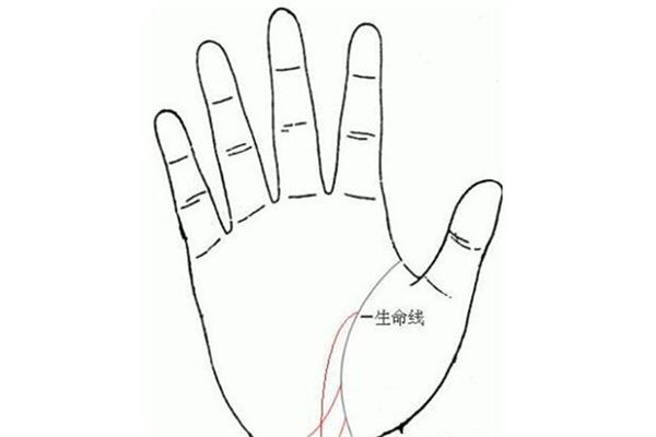 生命线短的人真的寿命比较短吗