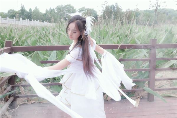 日落亥宫是什么意思？