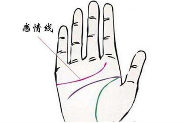 两条感情线所代表的意义