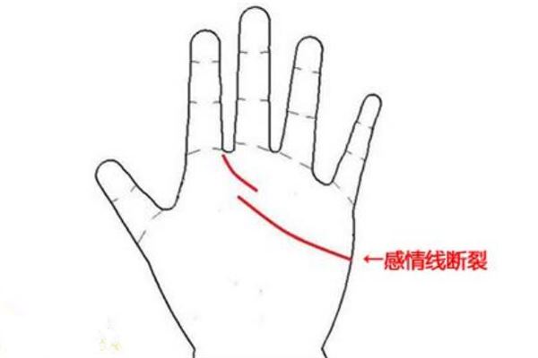 如果一个人的感情线断开代表什么意思