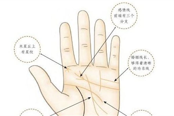 一生富贵手相怎么看