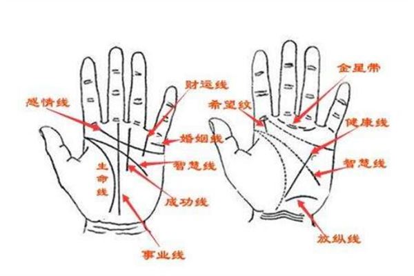 手相算命知多少