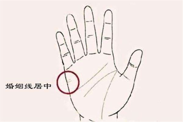 婚姻线图解大全女士