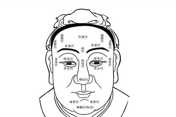 古代相面算命书解析