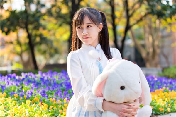 丁亥日解析