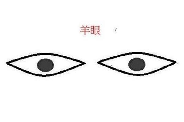 什么是山羊眼