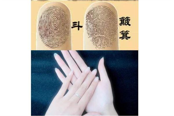 手纹斗和簸箕的说法