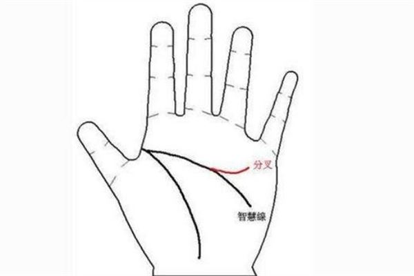 智慧线很长代表什么