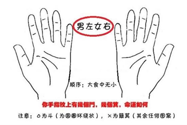 手纹斗和簸箕图片