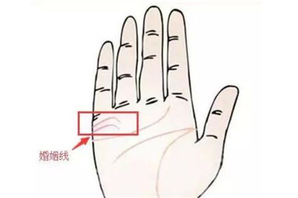 婚姻线图解男士