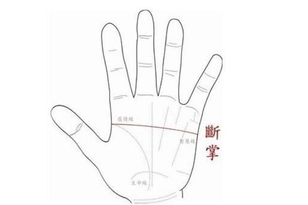 2019年断掌男人的命运