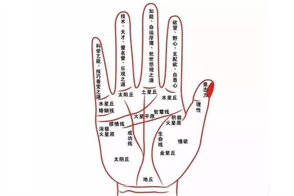 手相图解：威胁你生命的疾病