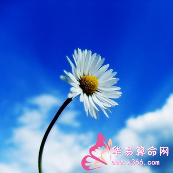 详解庚辰白蜡金的具体含义