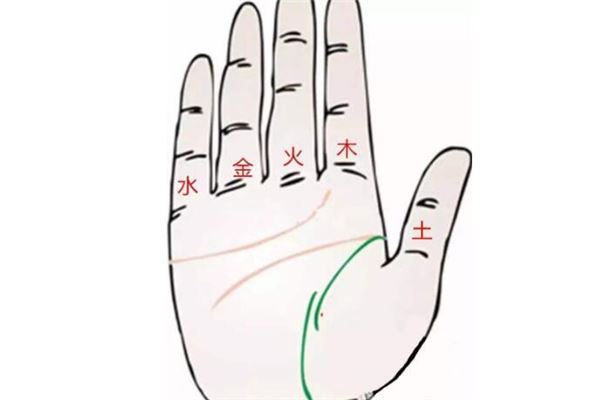 看手相是不是男左女右