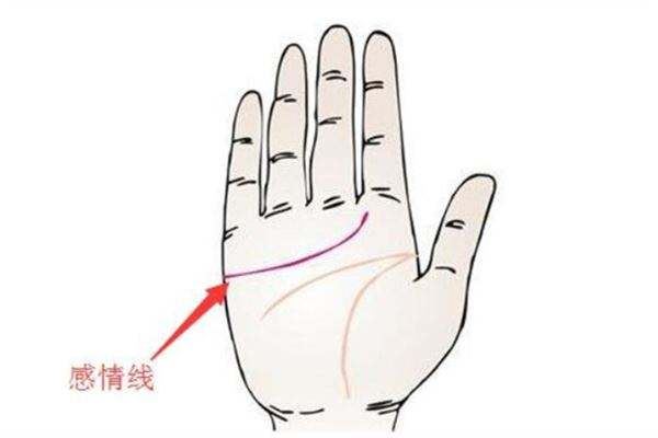 手相看感情线流年